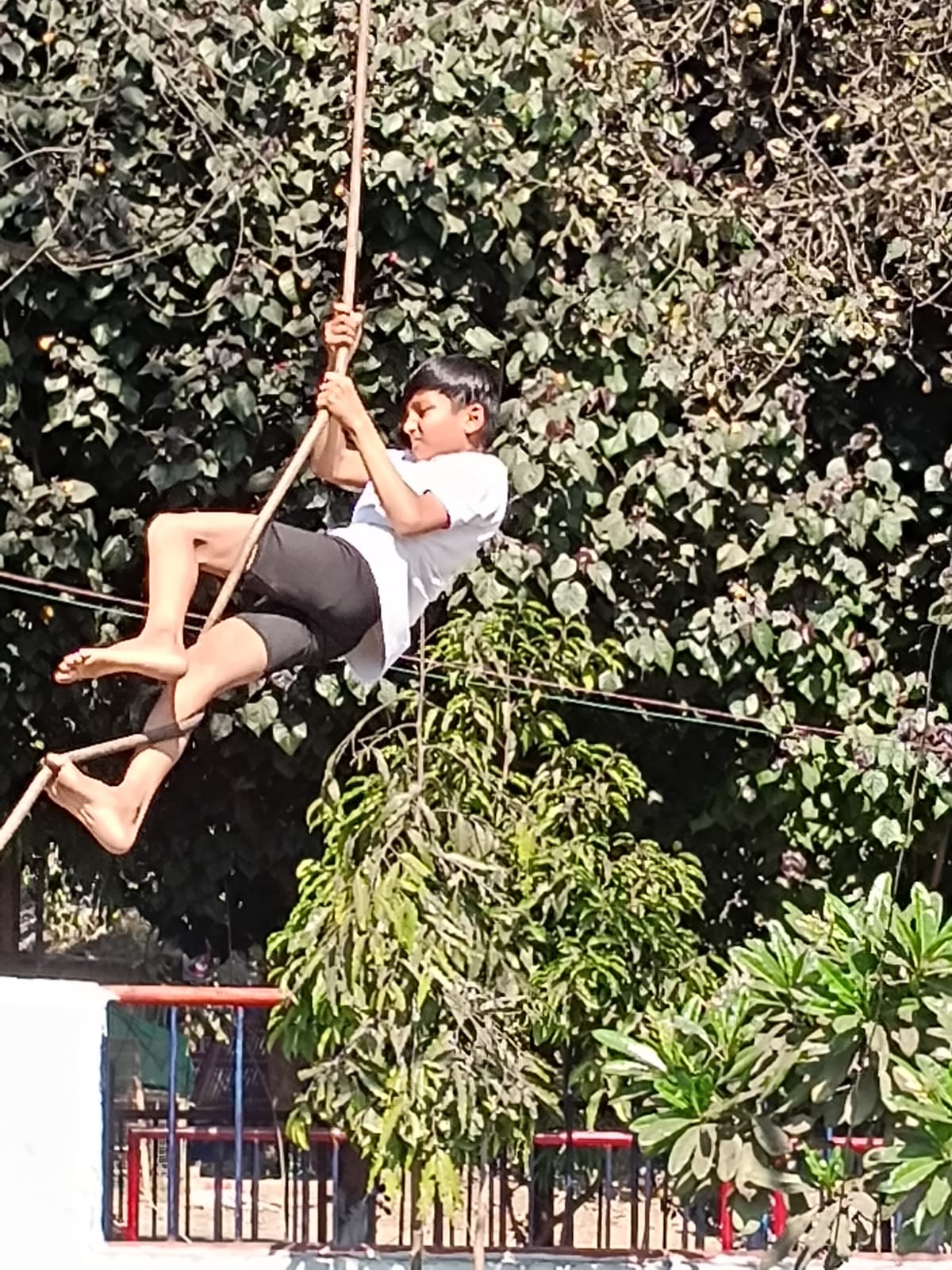 Sports  - Sant Sri Asaramji Gurukul Indore official Website